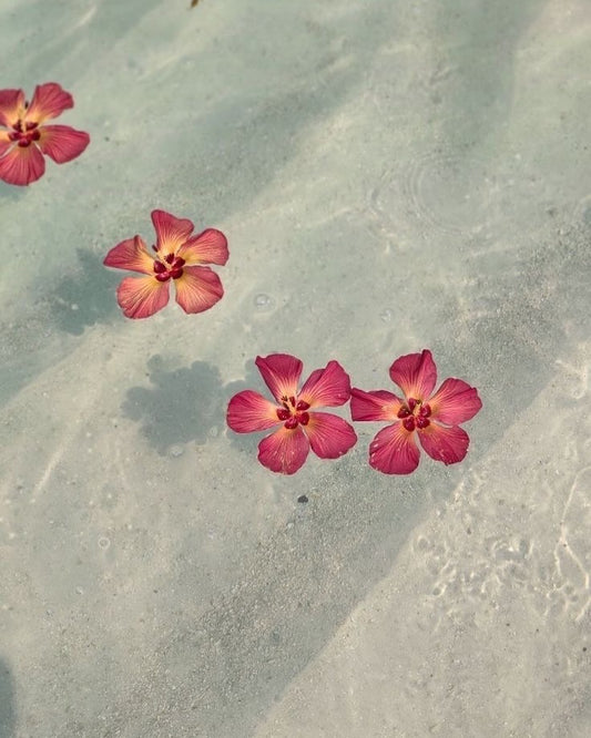 Embracing Slow and Sustainable Fashion: A Path to a Better World